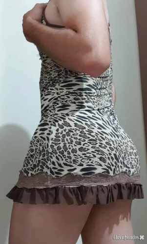 Trans/CD sem interesse finan